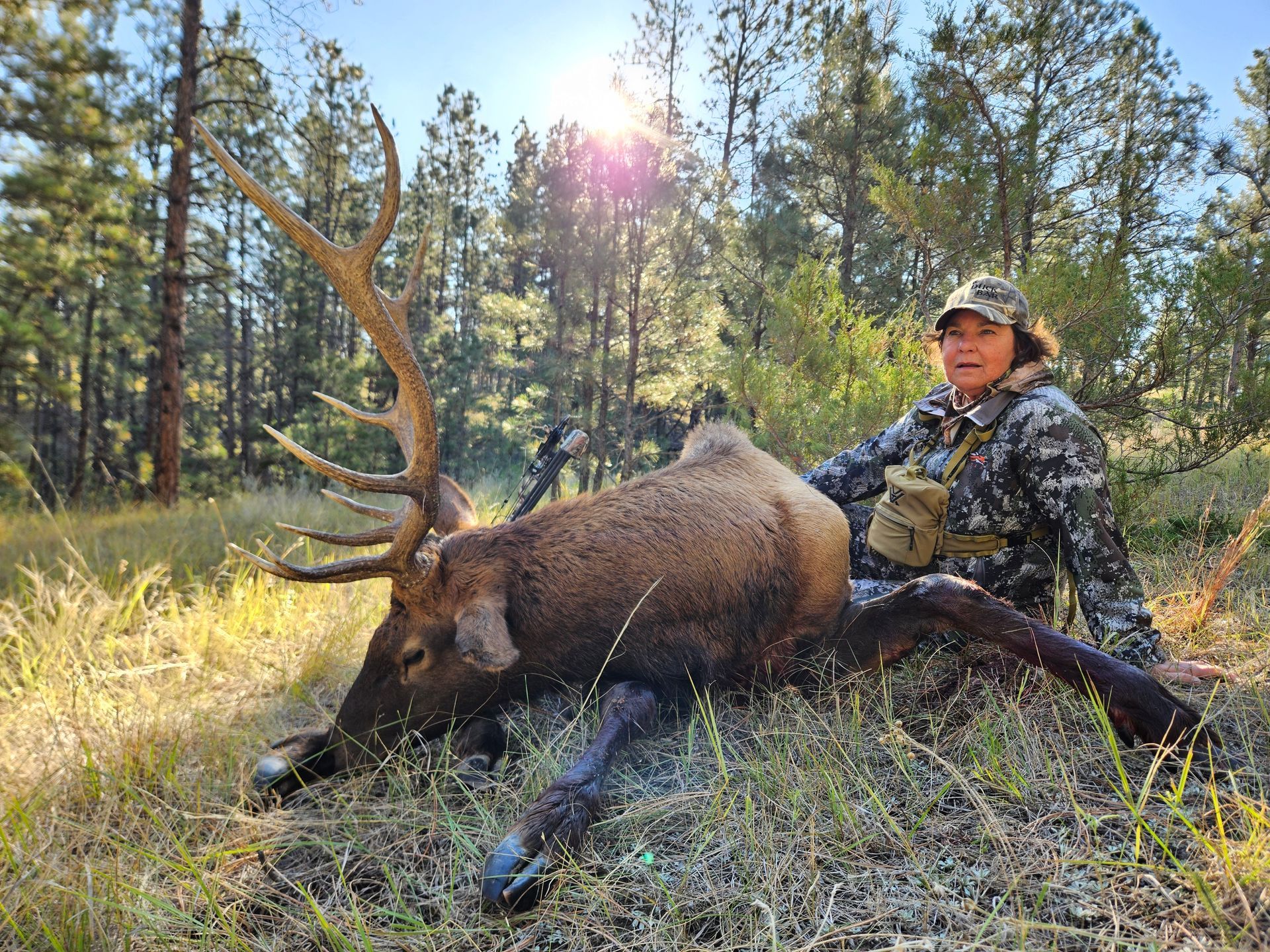 Elk Hunting