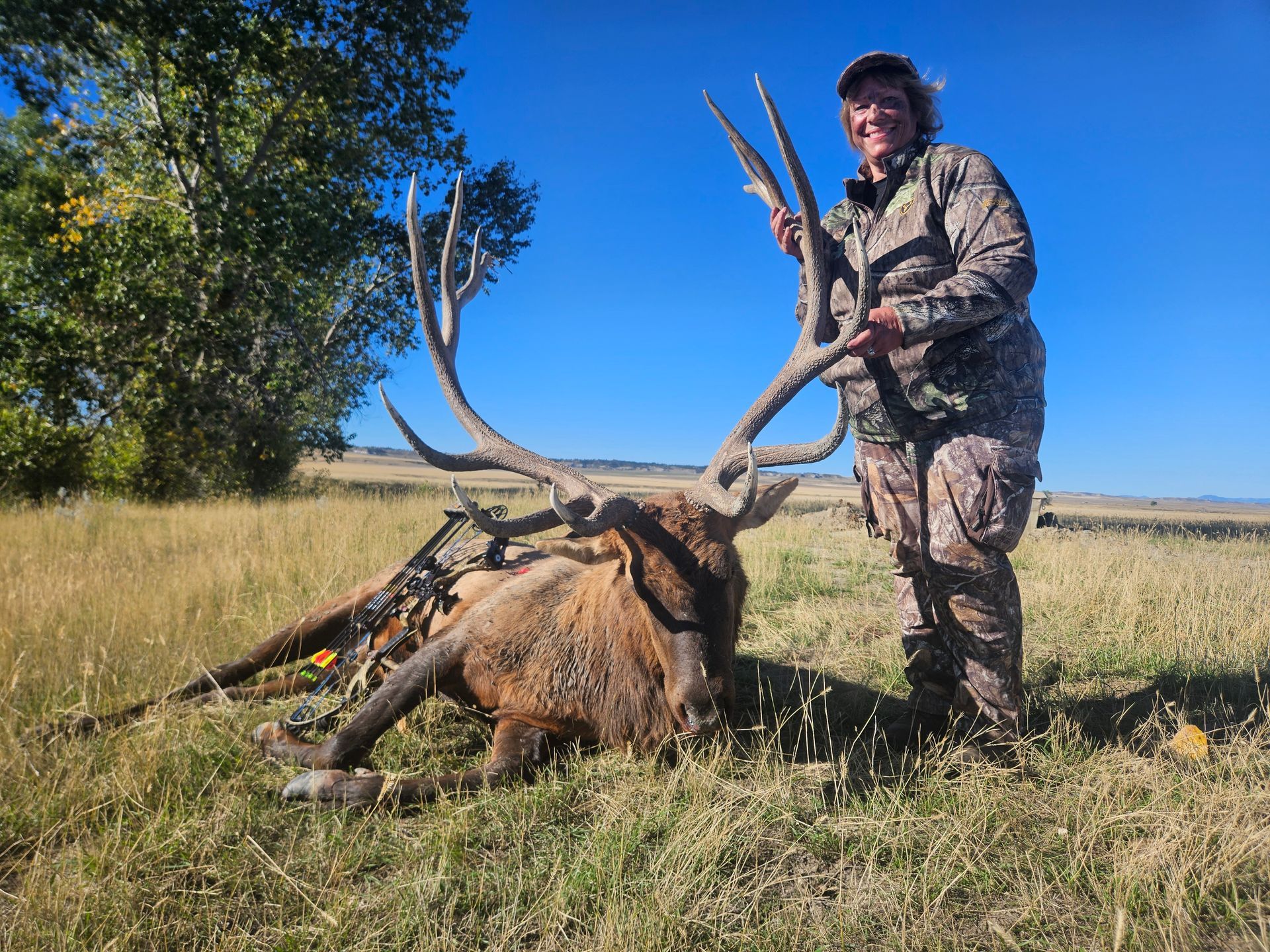 Elk Hunting