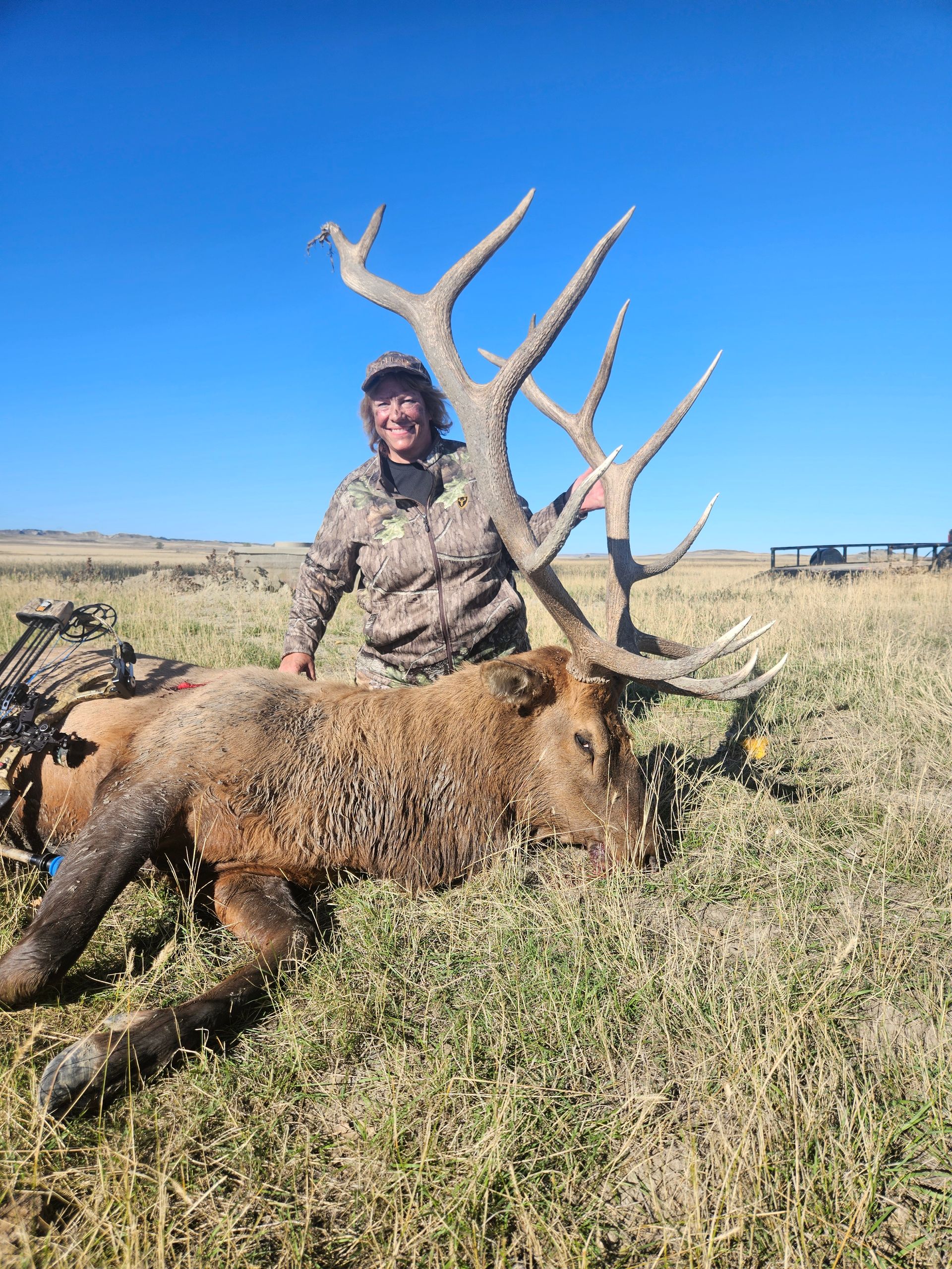 Elk Hunting