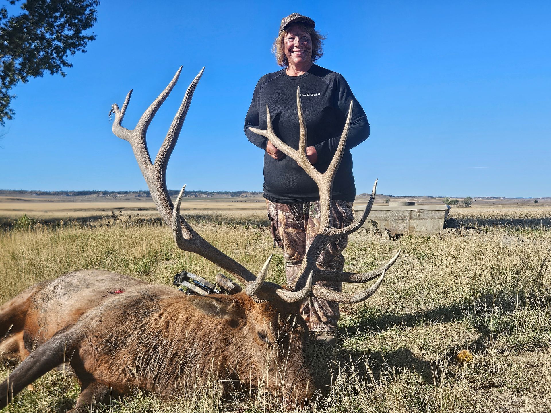 Elk Hunting