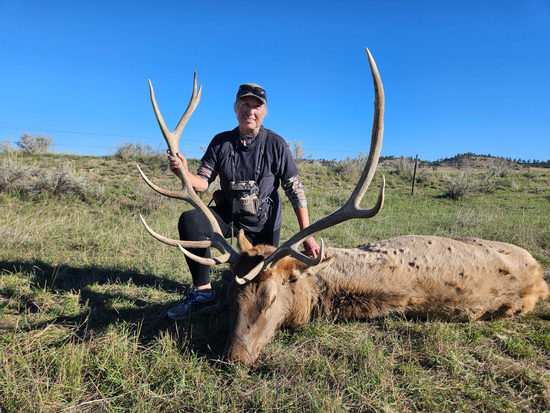 Elk Hunting