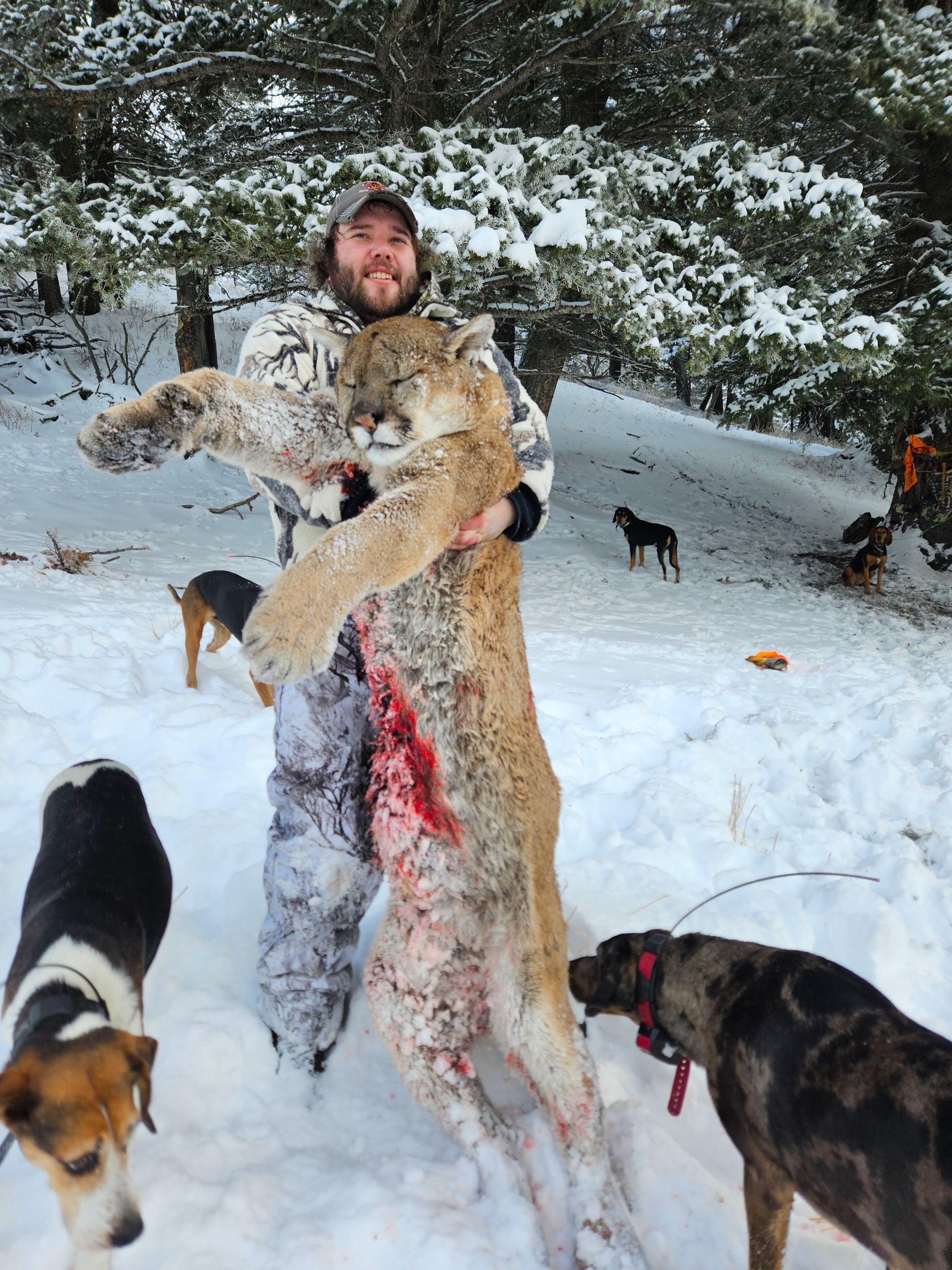 A man holding up a dead mountain lion