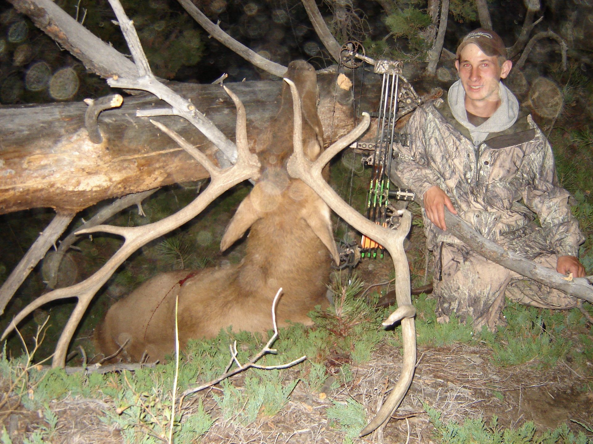 Elk Hunting
