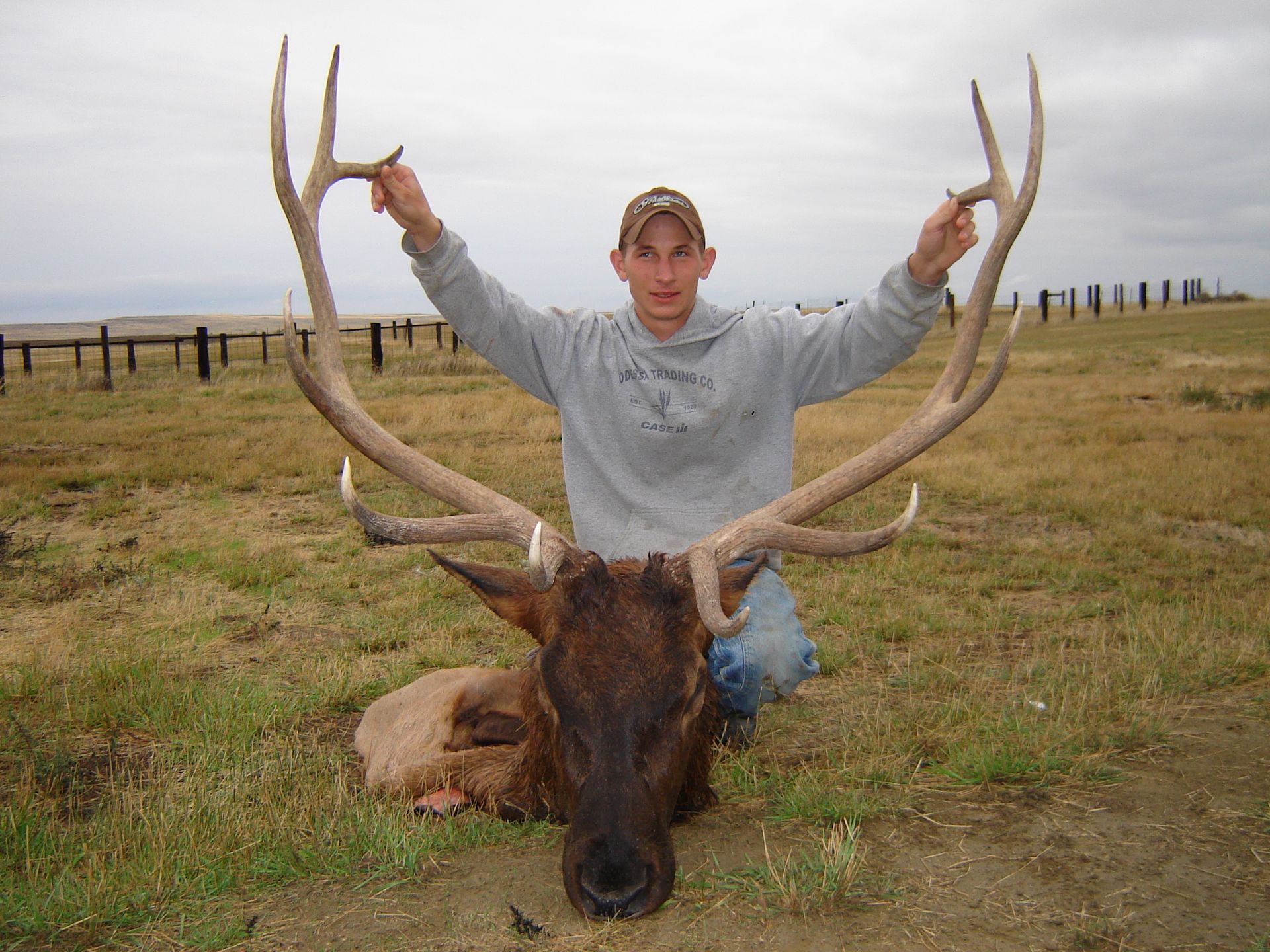 Elk Hunting