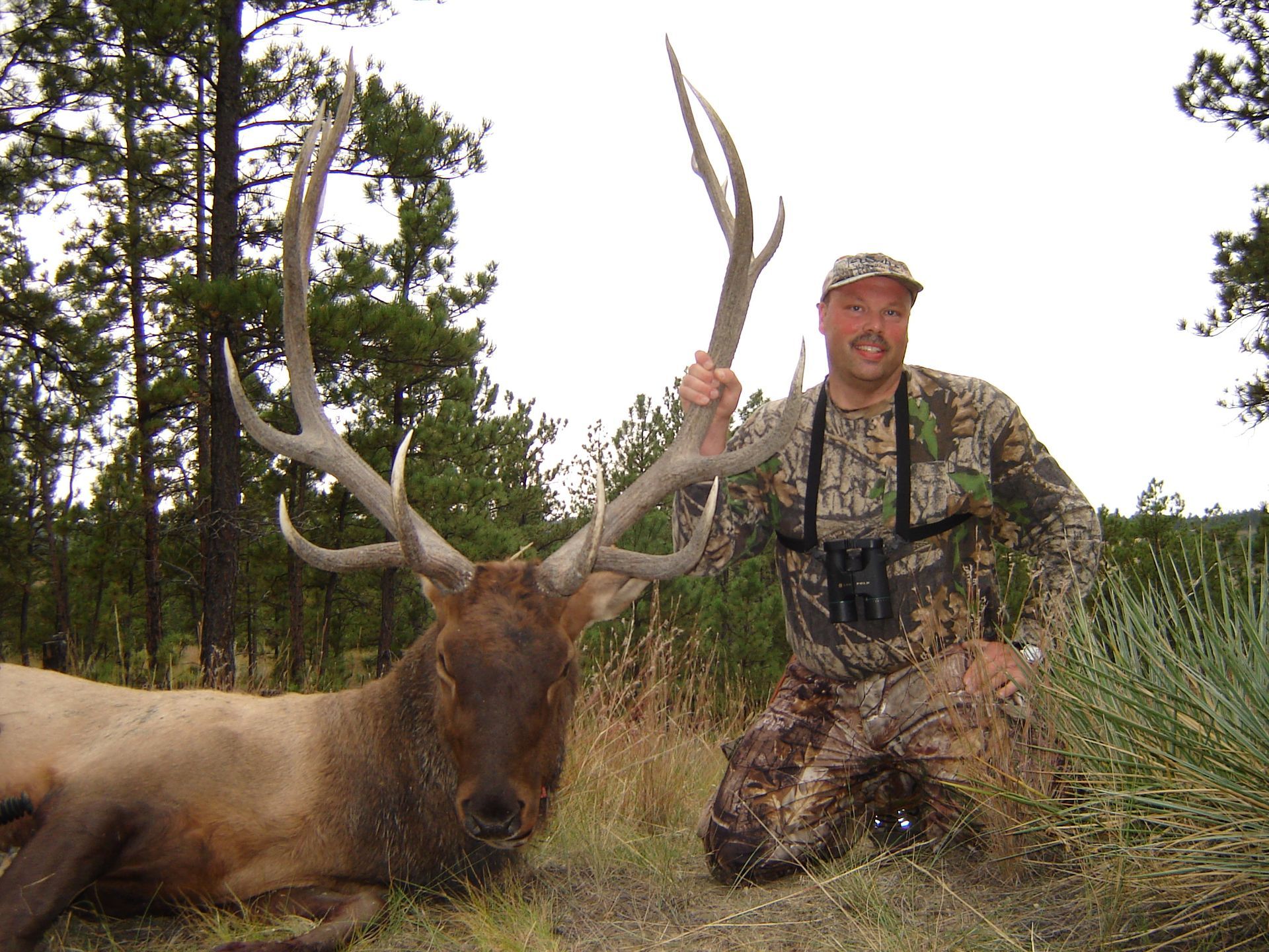 Elk Hunting