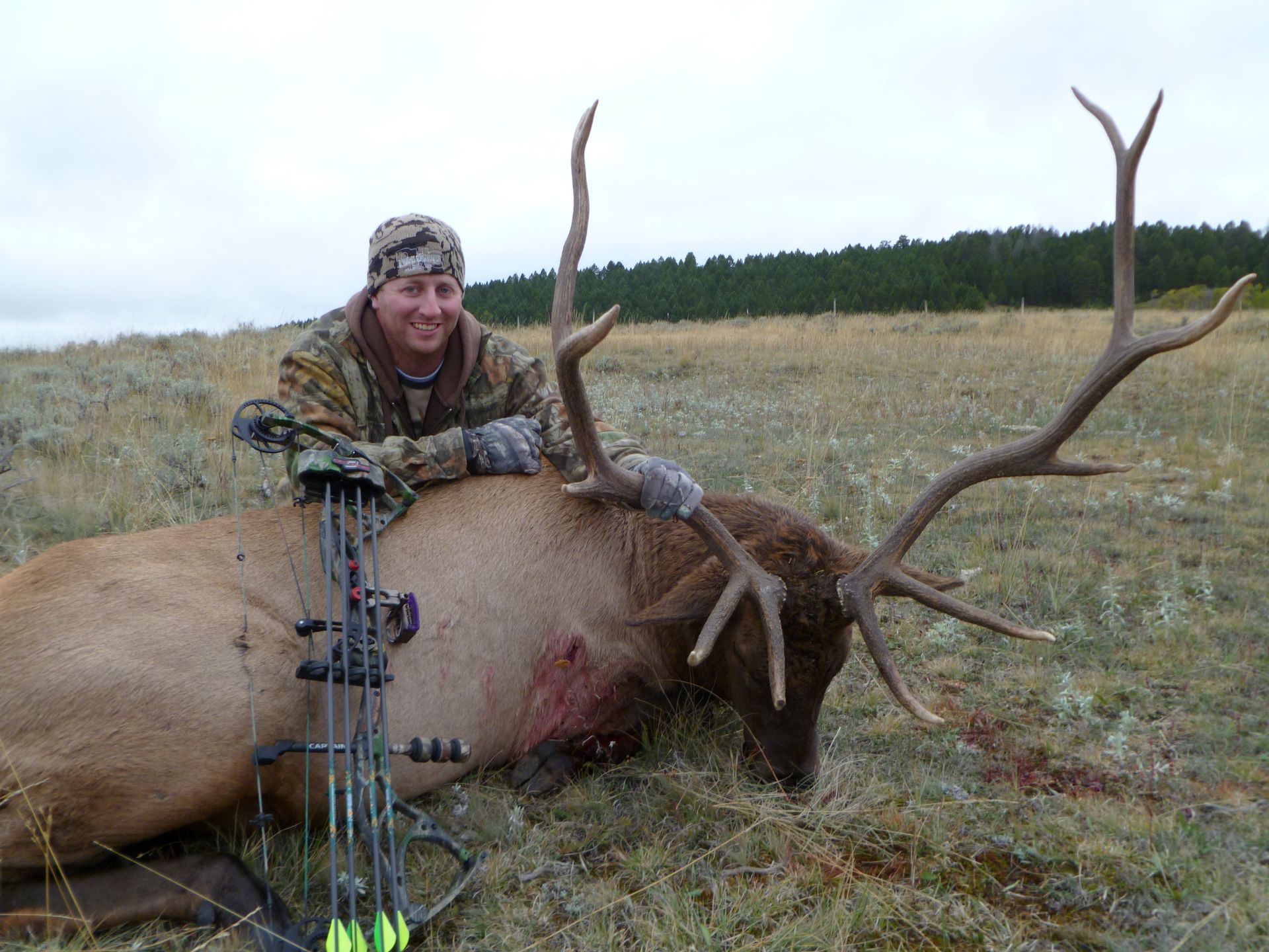 Elk Hunting