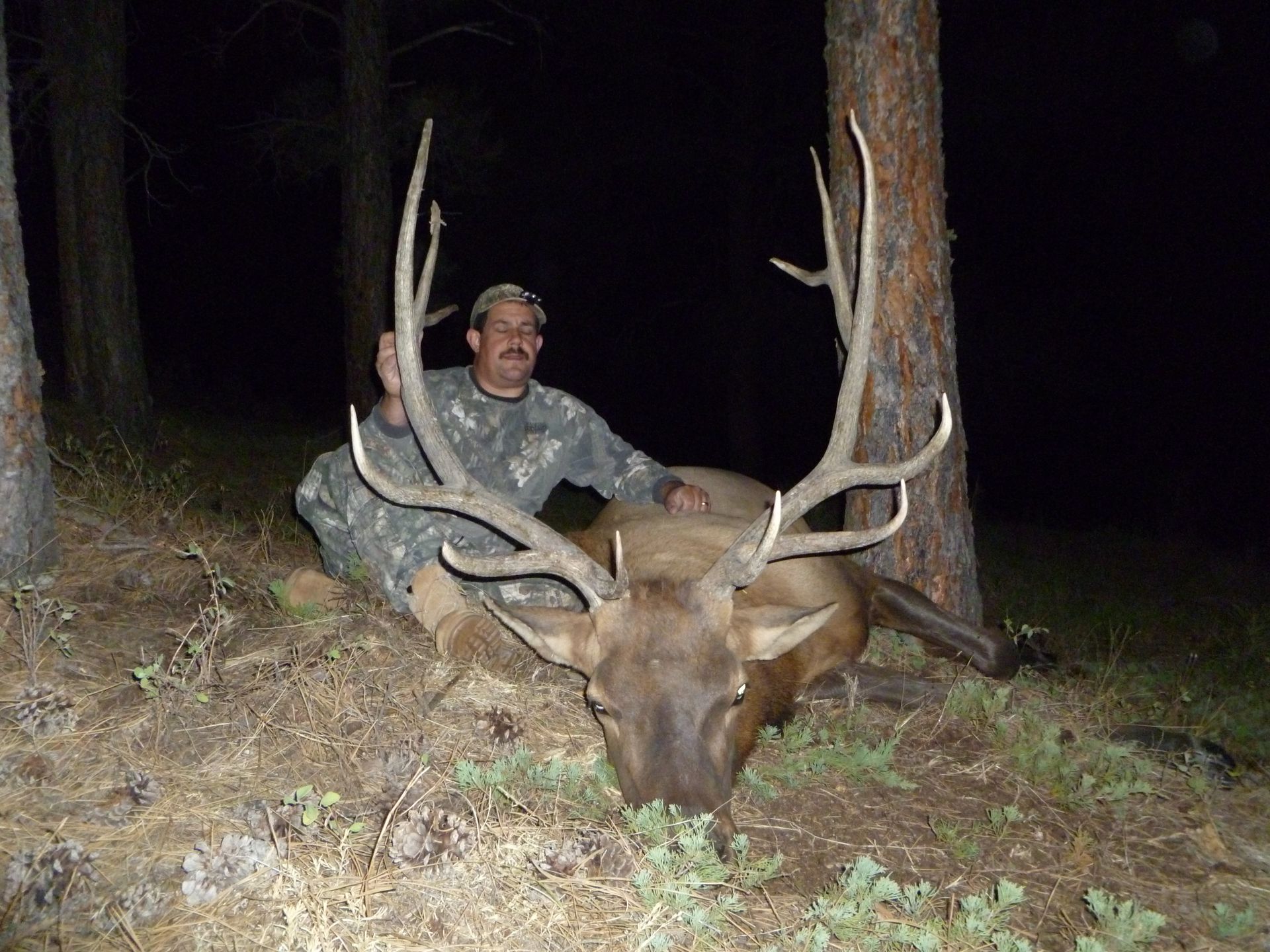 Elk Hunting