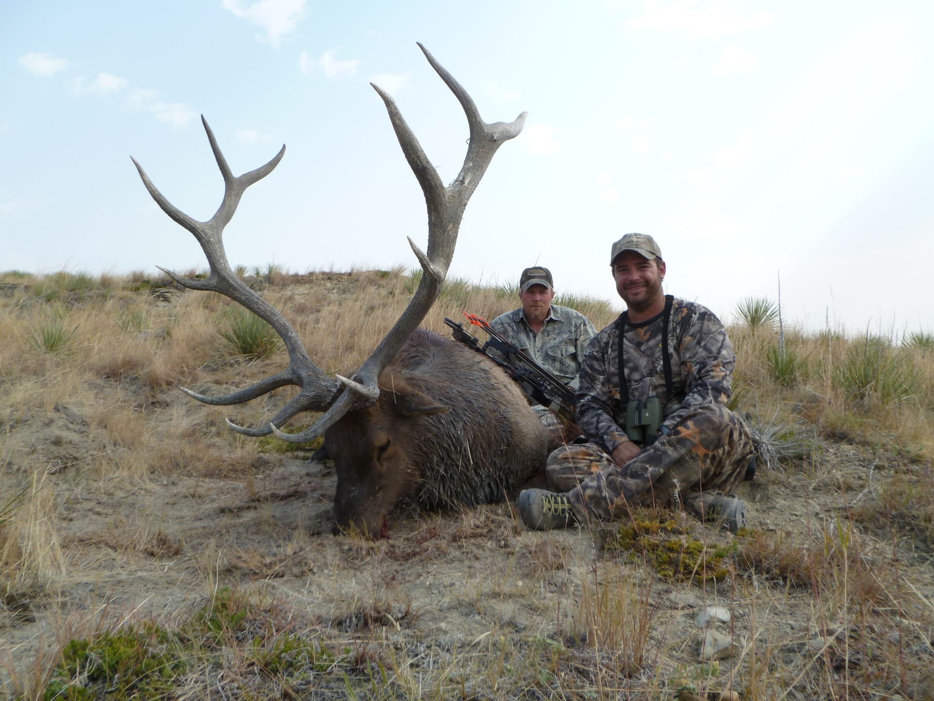 Elk Hunting