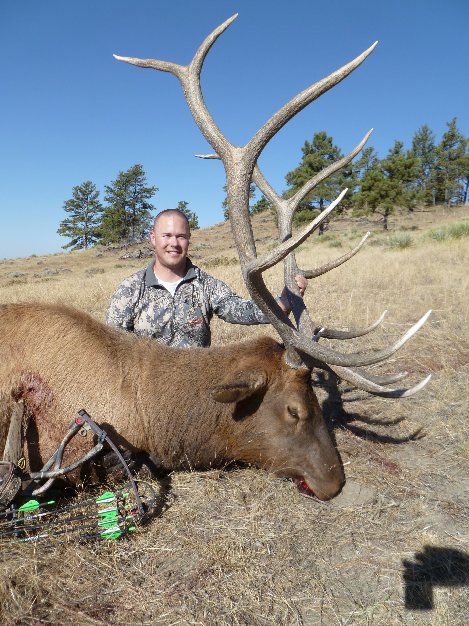 Elk Hunting