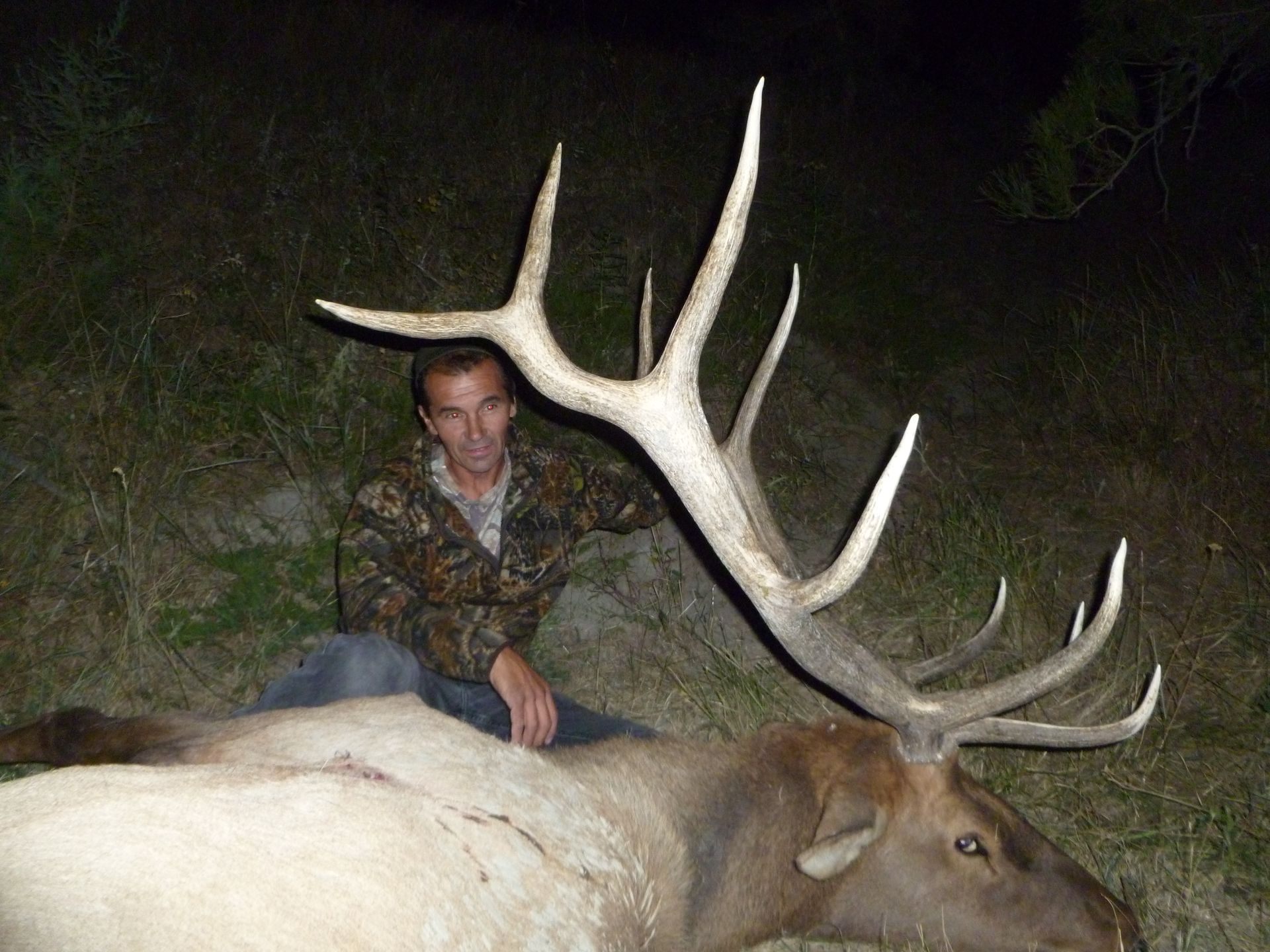 Elk Hunting