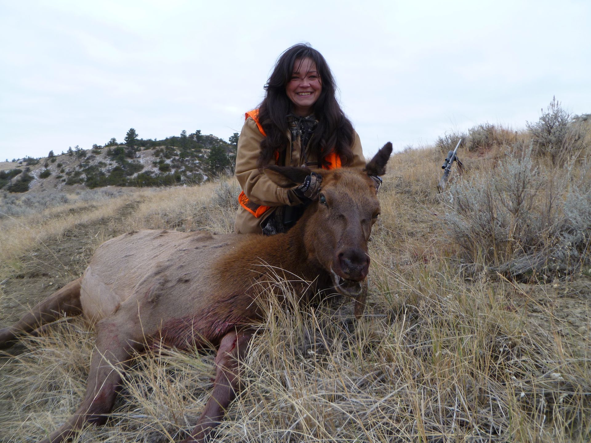 Elk Hunting
