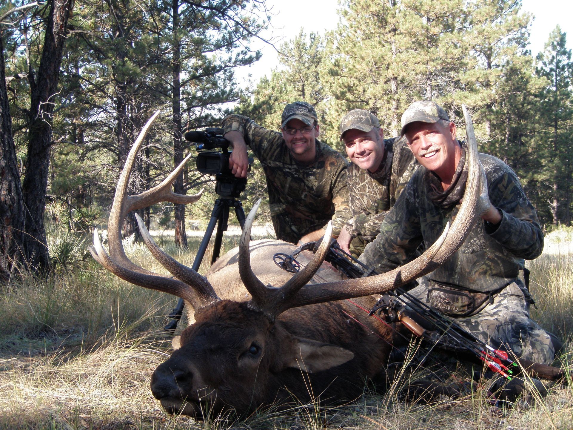 Elk Hunting
