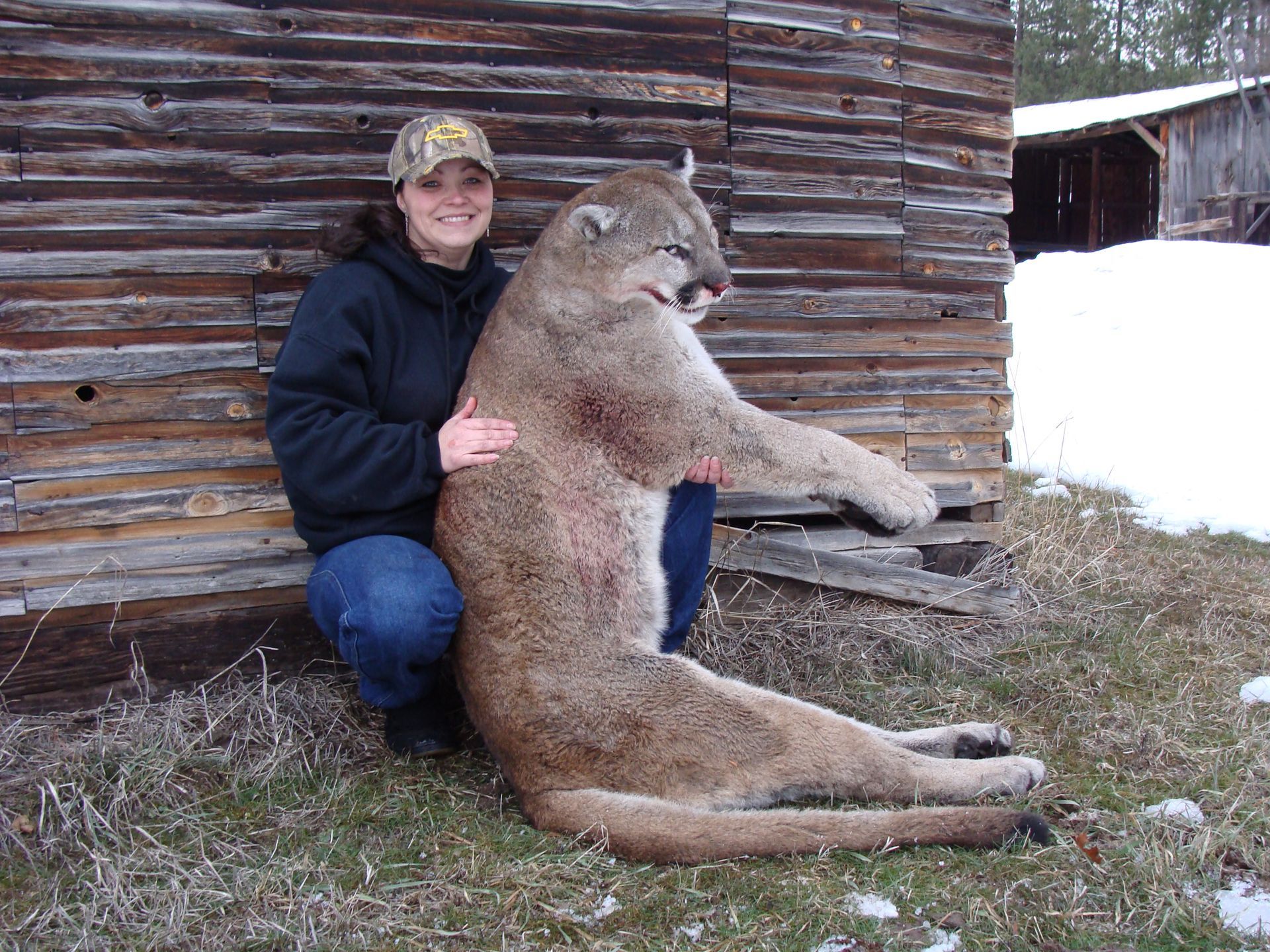 A woman is kneeling next to a large mountain lion