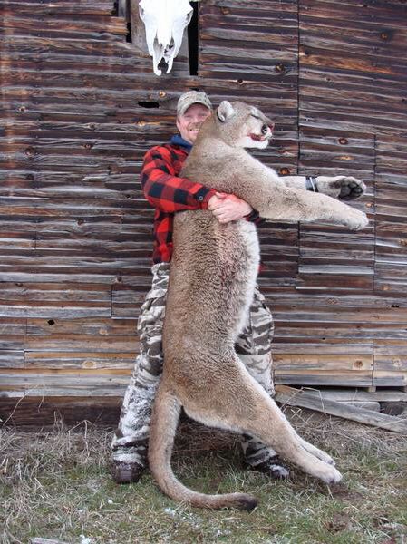 A man is holding a large mountain lion in front of a wooden building.
