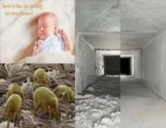 A collage of pictures of a baby , dust mites , and a duct.