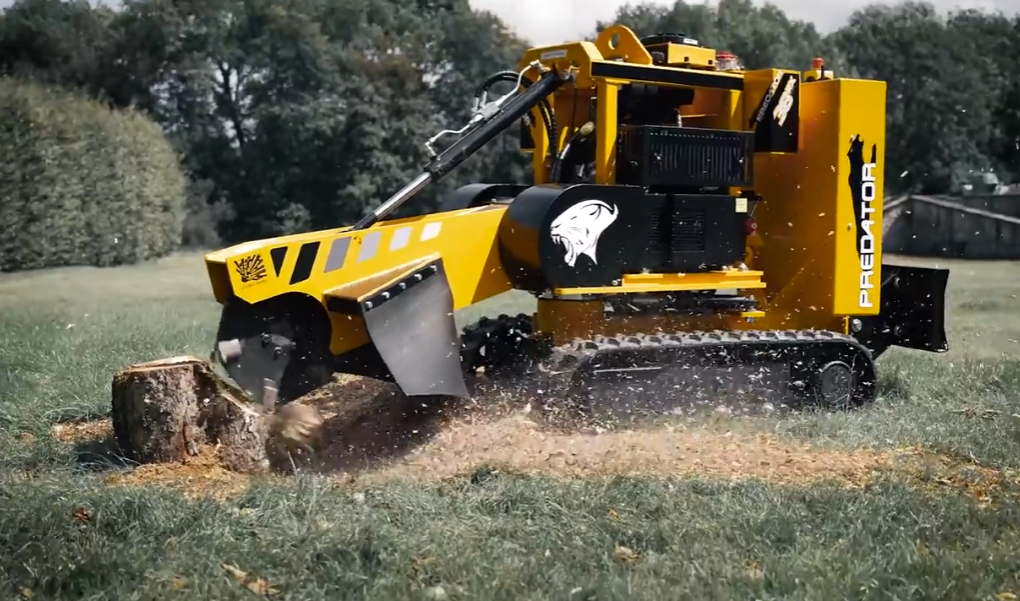 stump grinding Melbourne professional service