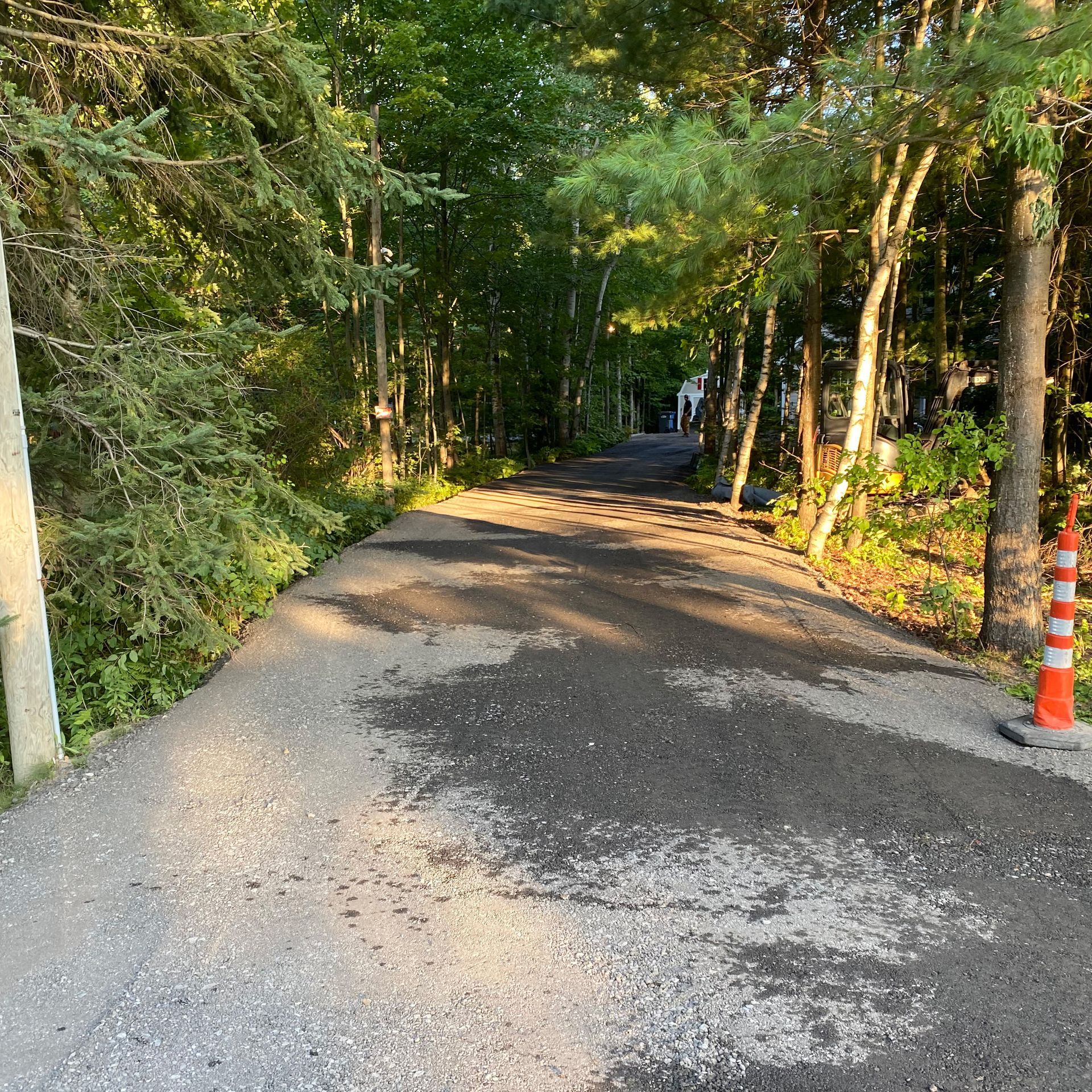 Un chemin de terre bordé d'arbres, avec un petit cône de signalisation orange sur le bord droit.