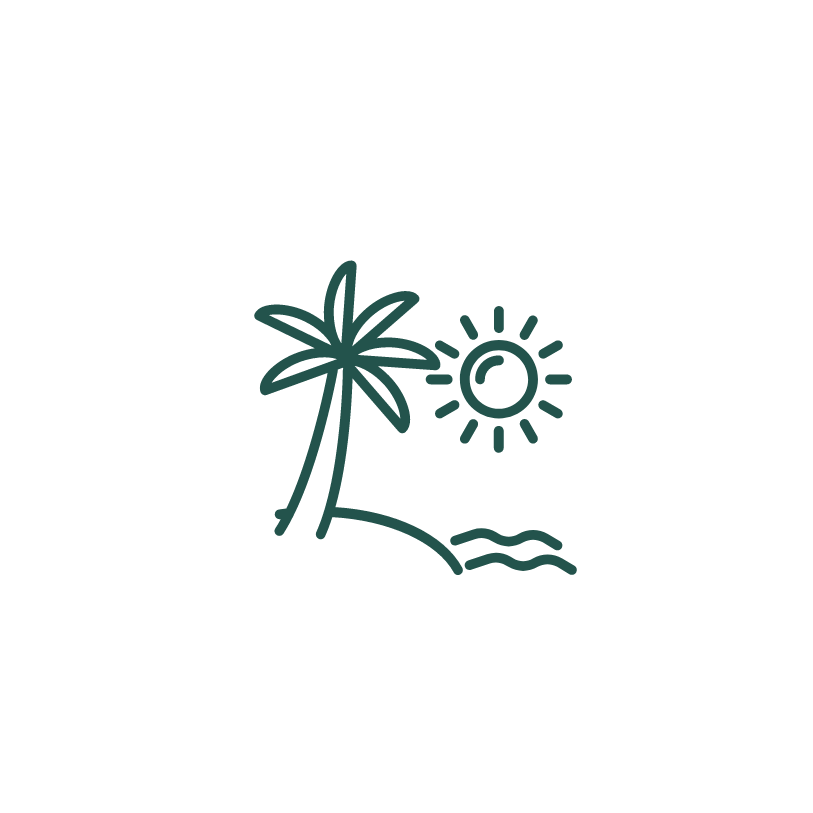 Un dibujo lineal de una palmera y un sol en una playa.