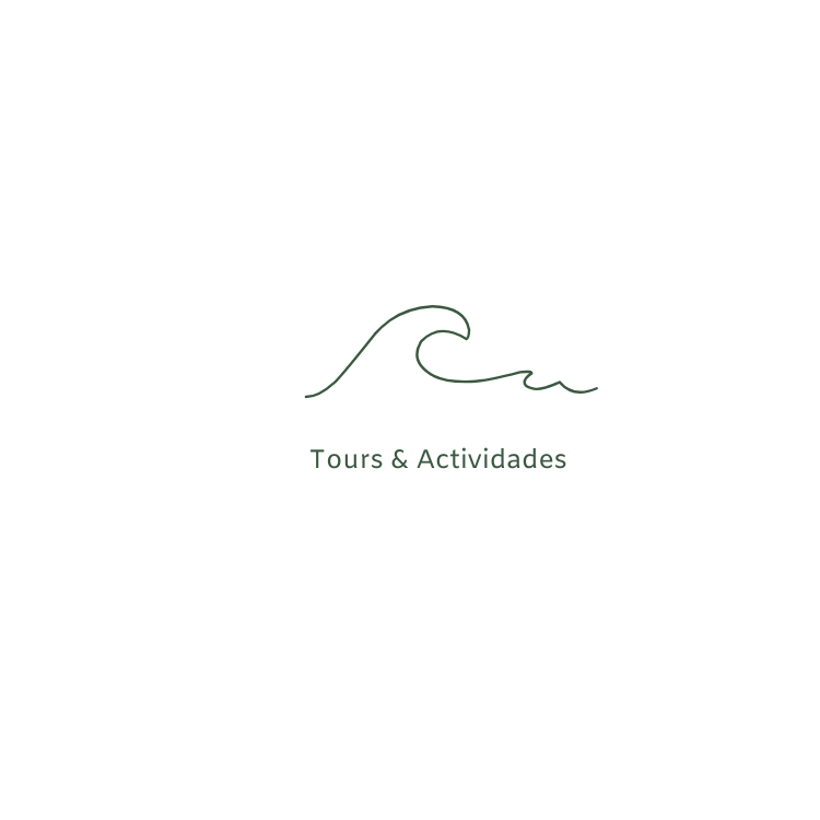 A logo for tours and actividades with a wave on a white background.