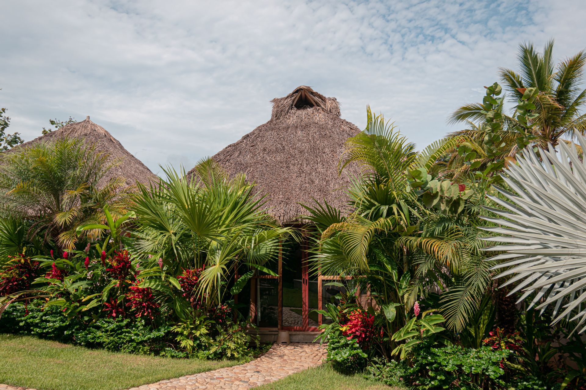 A house with a thatched roof is surrounded by trees and bushes.