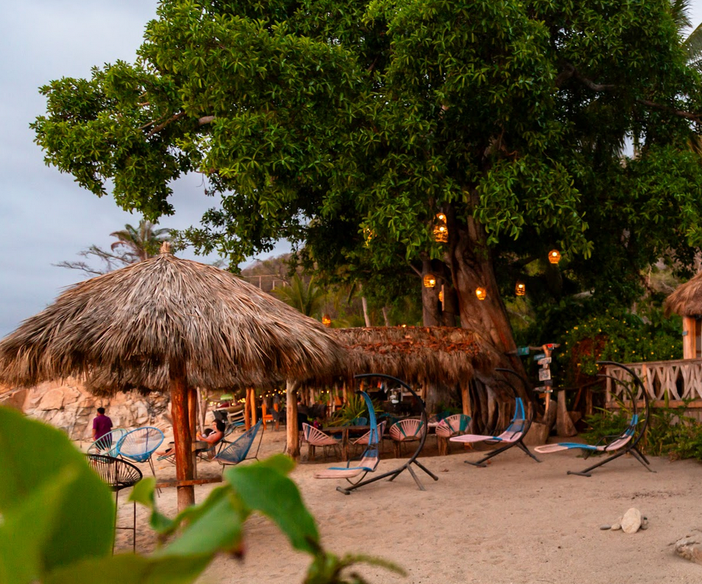 Una playa con sombrillas de paja y sillas bajo un árbol.