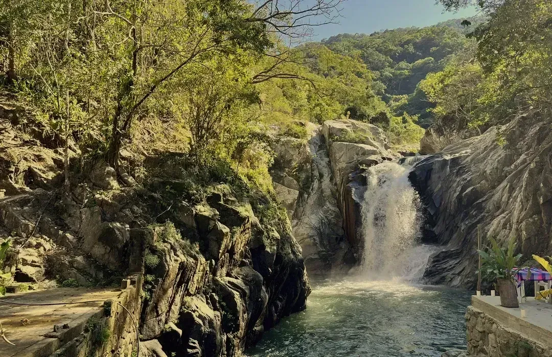 Una cascada está rodeada de árboles y rocas en medio de un bosque.