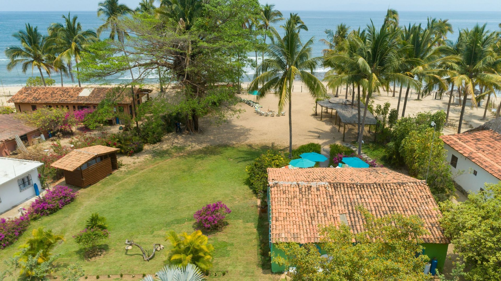 Una vista aérea de una playa con casas y palmeras.