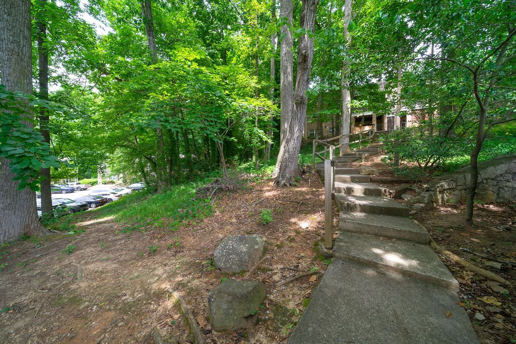 Wooded hillside path with stone steps and a concrete walkway beside a residential area