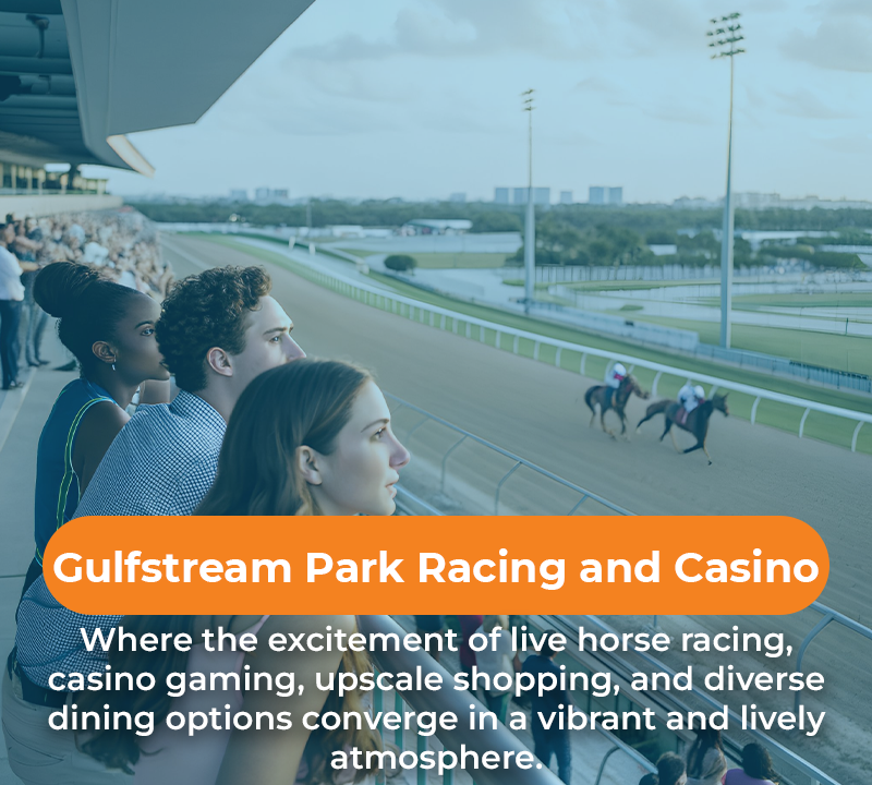 People watching horse racing at Gulfstream Park.