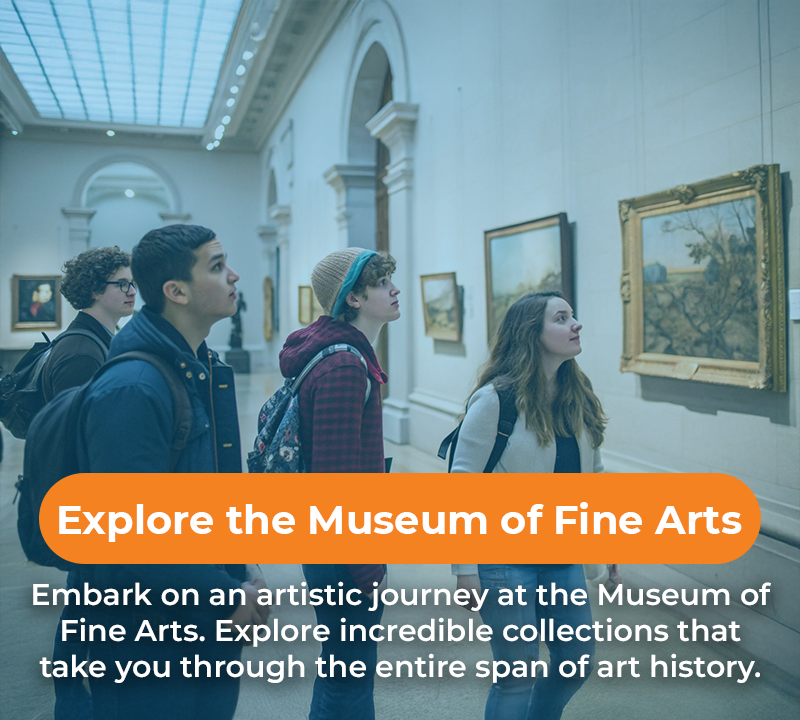 People viewing paintings at the Museum of Fine Arts. The advertisement promotes exploring art history.