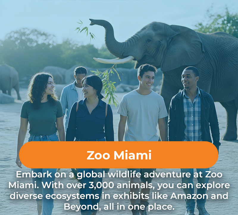 Group of people at Zoo Miami with an elephant, text overlay 