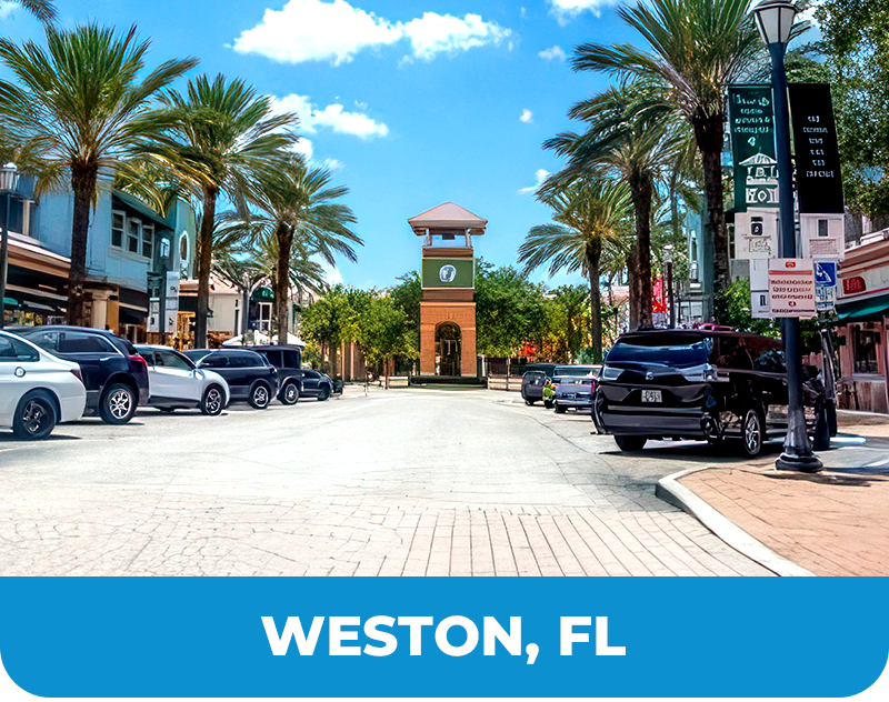 Palm-lined street in Weston, FL with parked cars and a clock tower under a blue sky