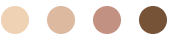 A row of different shades of skin on a white background.
