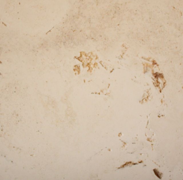 Off-white textured surface with scattered brown and tan stains and imperfections.