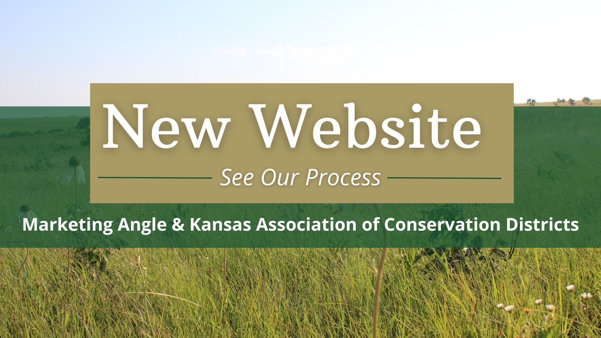 Marketing Angle and KACD Website