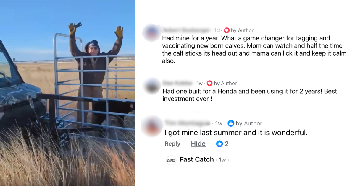 Person with arms raised in a Fast Catch calf catcher beside positive social media comments screenshot.