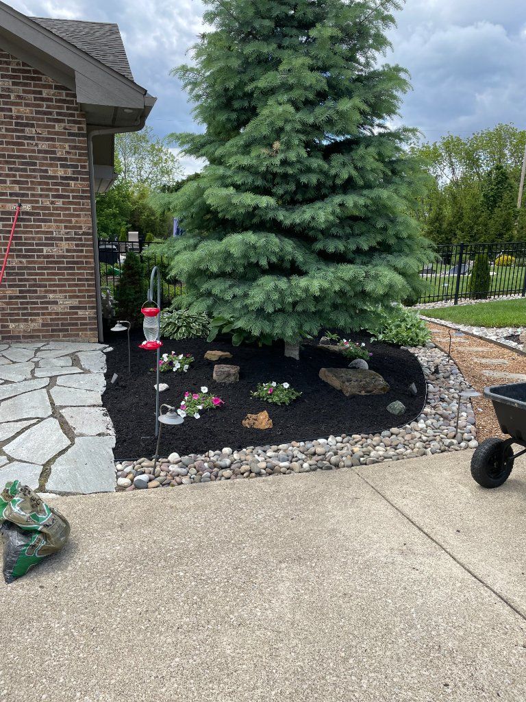 Front yard landscaping with a large evergreen tree, stone border, mulch bed, and sidewalk beside a brick house