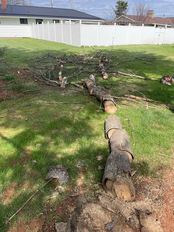 Fallen tree trunk across a grassy backyard near a white fence and house