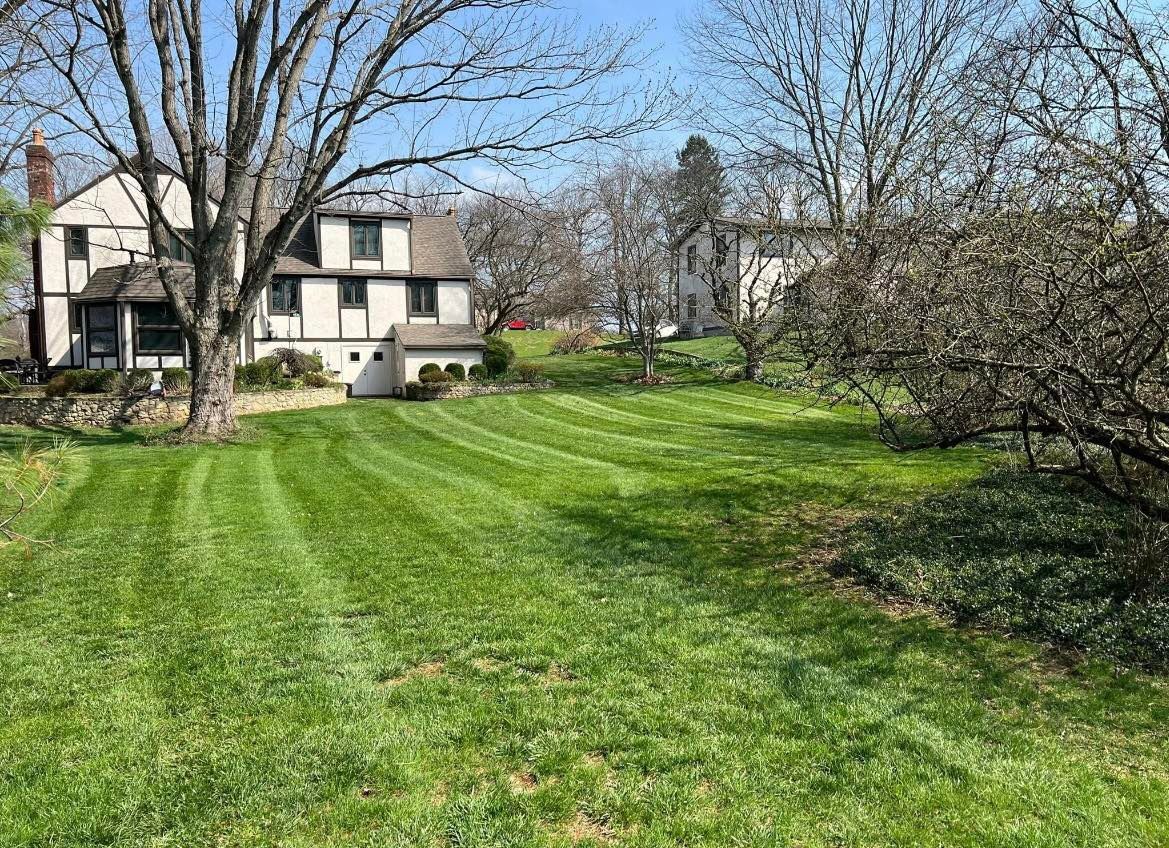 Suburban house with a large green lawn and leafless trees on a sunny day
