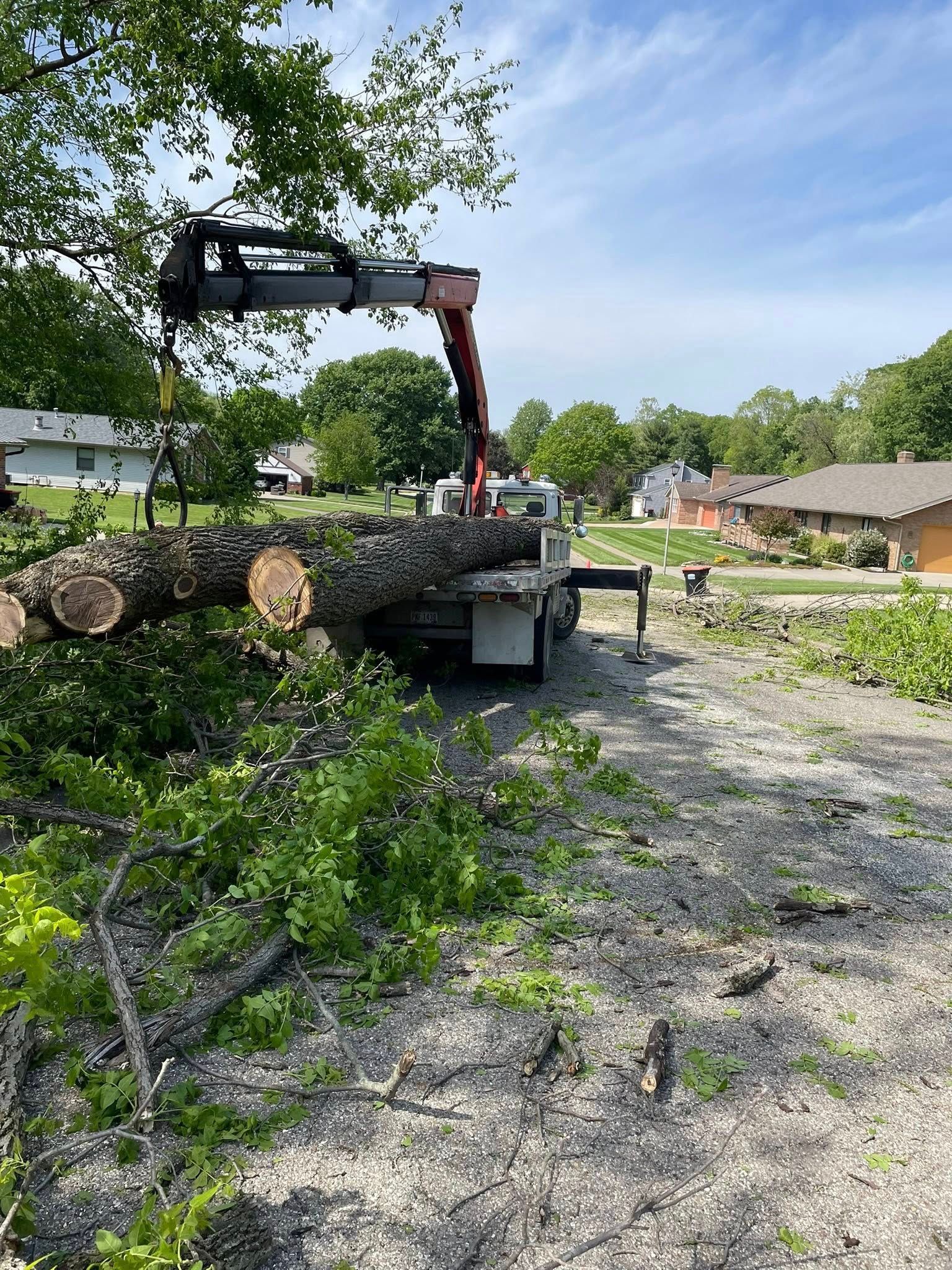 Excavator loading cut tree trunks beside a gravel road in a wooded residential area.