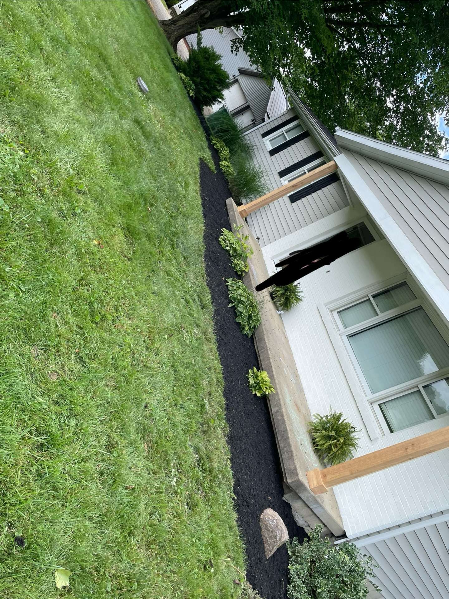 Residential front yard with green lawn, black mulch bed, and a light gray house exterior with windows.