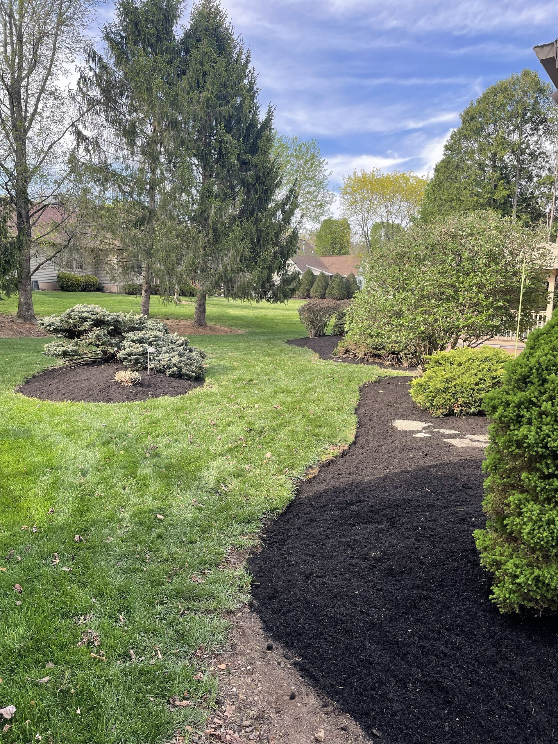 Garden path bordered by shrubs and trees under a partly cloudy sky