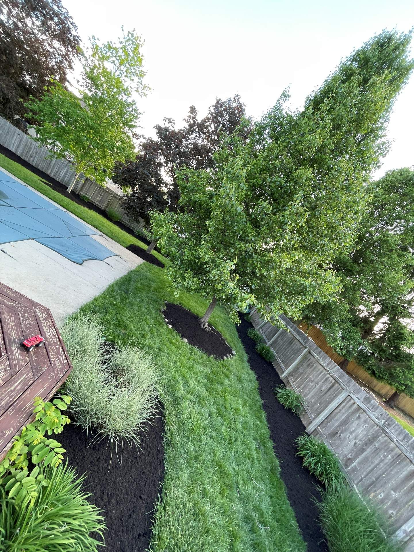 Backyard with green lawn, trees, fence, blue pool, and a small deck on the left.