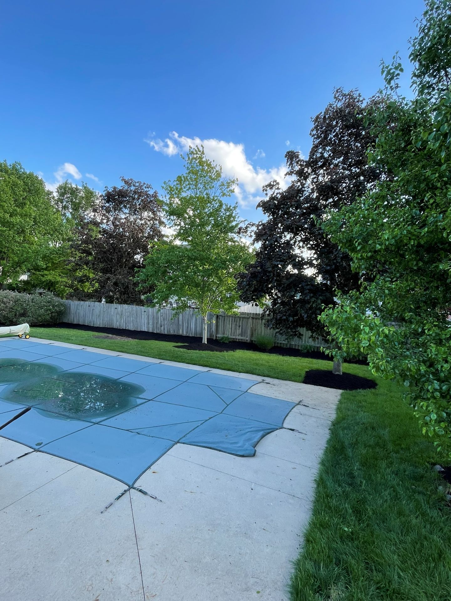 Backyard pool with blue tarp, white patio, green trees, and a clear blue sky