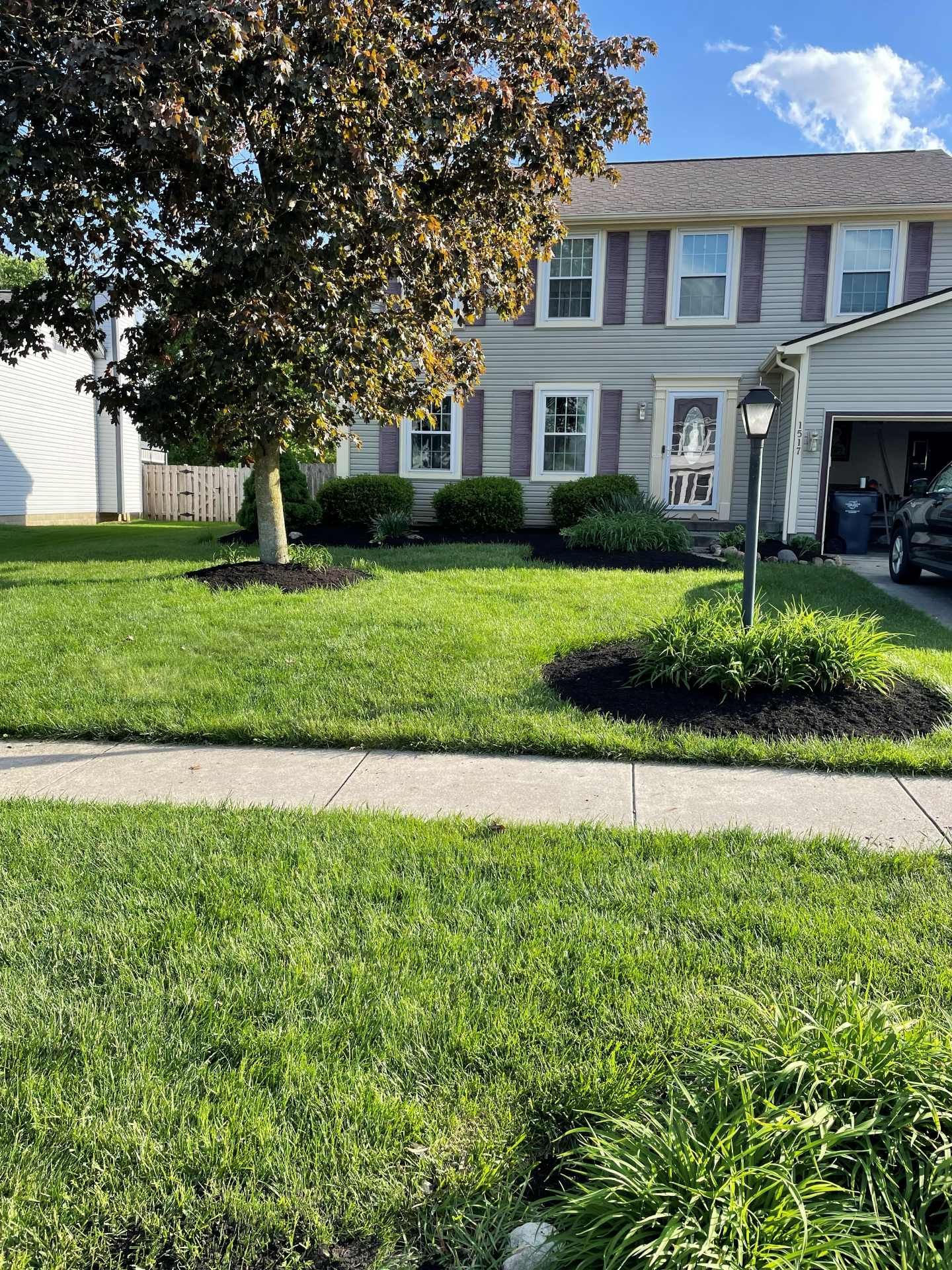 Suburban house with a green lawn, tree, and sidewalk in the foreground, seen on a sunny day
