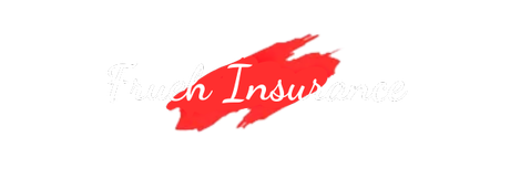 Frueh Insurance Frueh Insurance