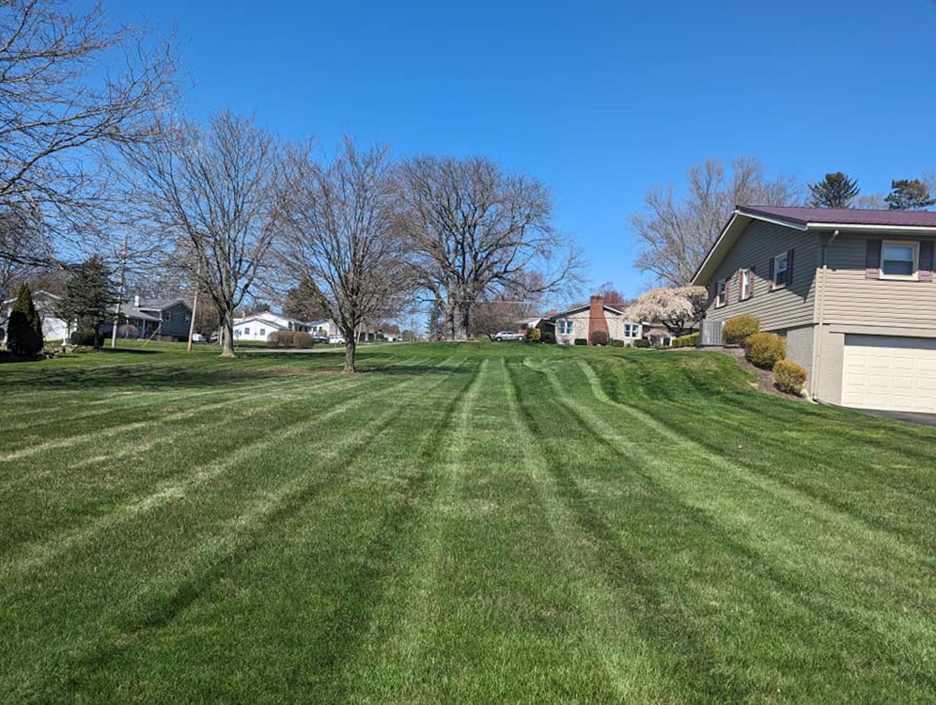 A lush green lawn in front of a house on a sunny day.