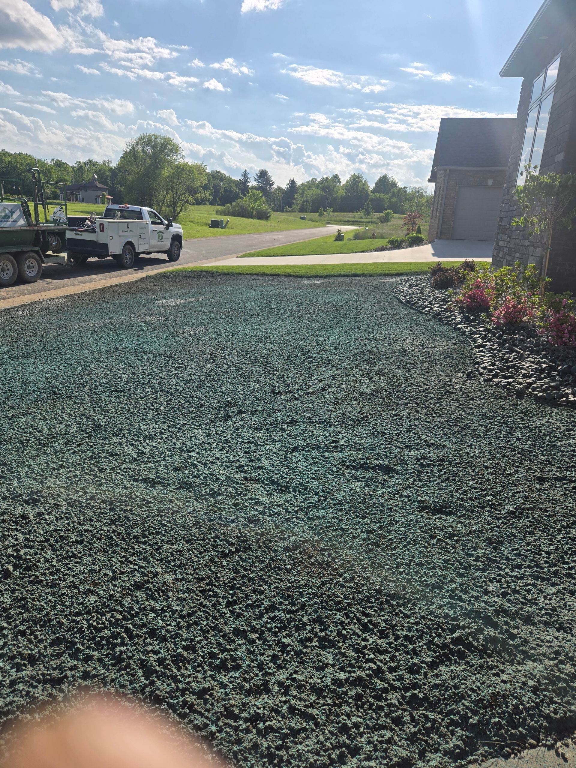 A newly seeded lawn covered in green seed and a work truck parked nearby on a sunny day.