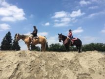 Two people are riding horses on top of a sandy hill.