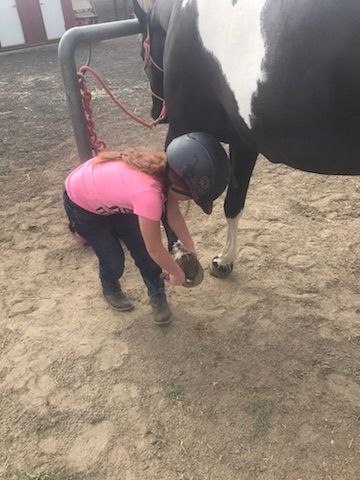 A young girl is kneeling down next to a black and white horse.